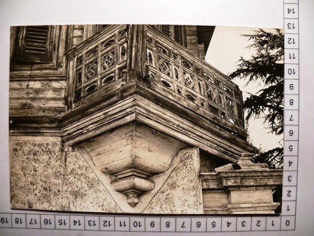 lotno (436) (1)
