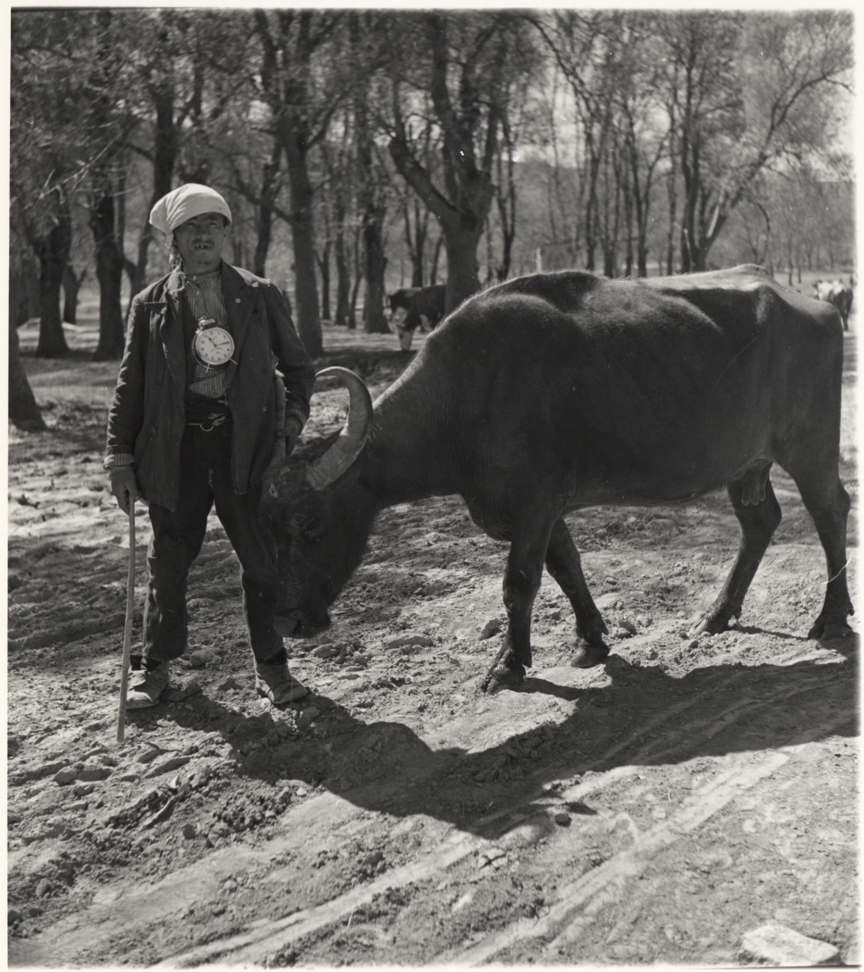 KAGITHANE MANDA  ÇOBAN  1935