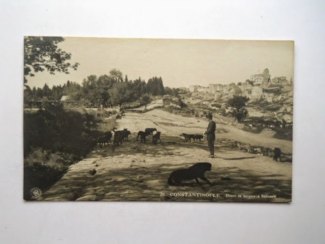 SURLAR — Arşiv görseli