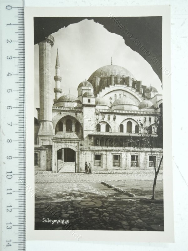 298Resim