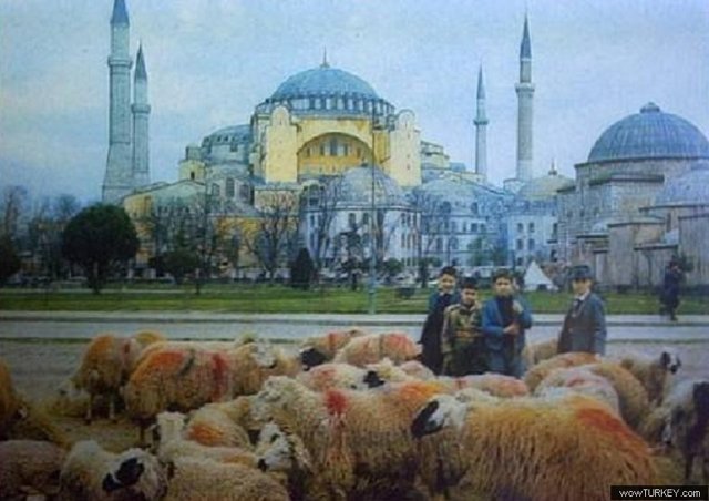 tarik 34 ayasofya