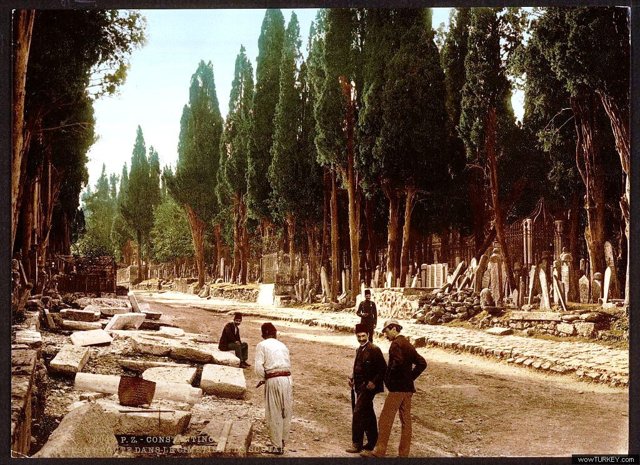 ofaltuntas Cypresses and road leading to the ce