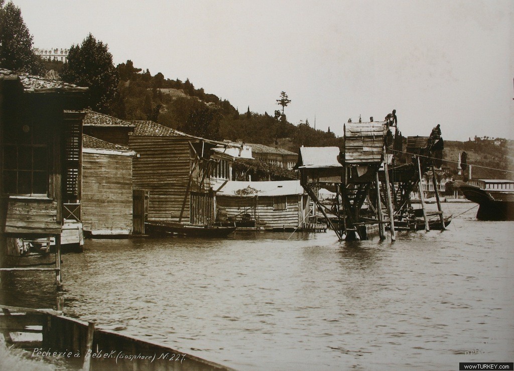 fikri aktan bebek dalyani 1880 (1)