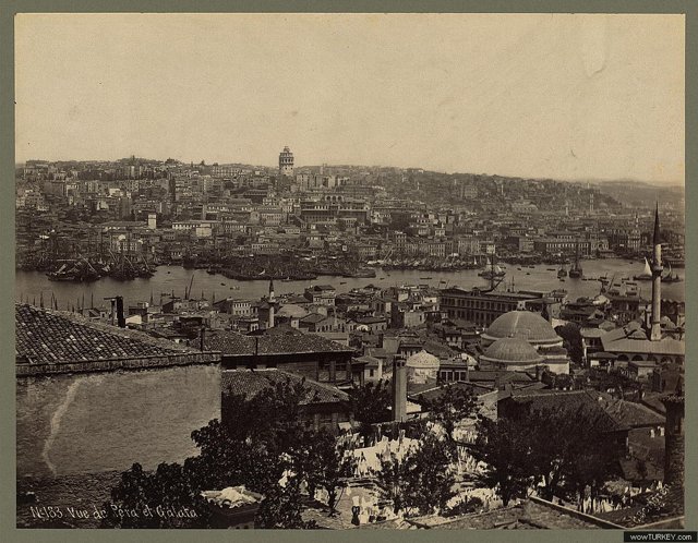 ofaltuntas 03848v