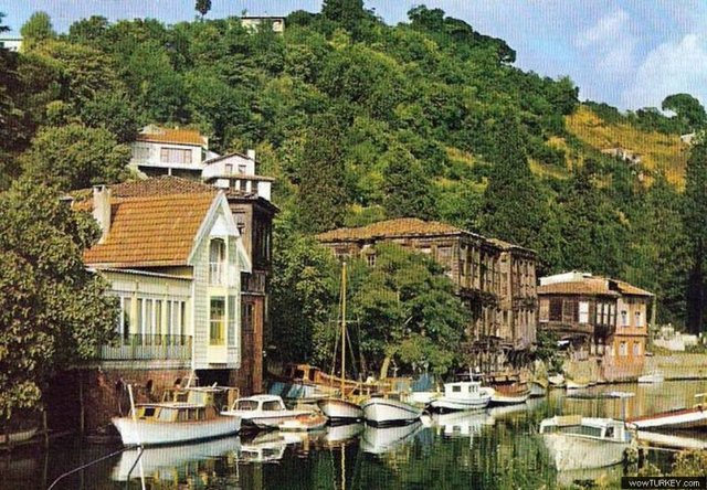 yilmaz buktel buktel3884