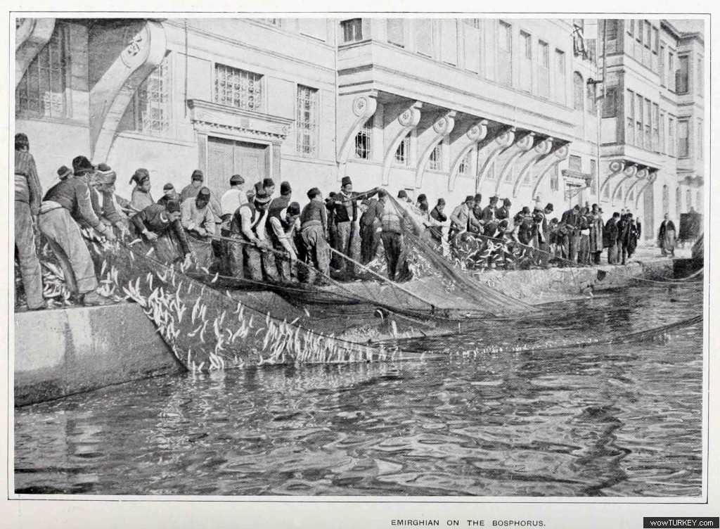 yasar1965 Emirgan