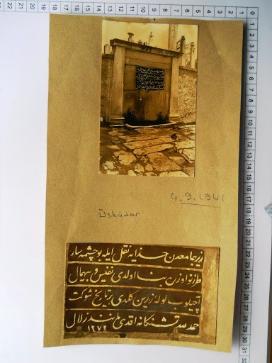 lotno (862) (1)