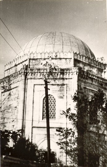 31b