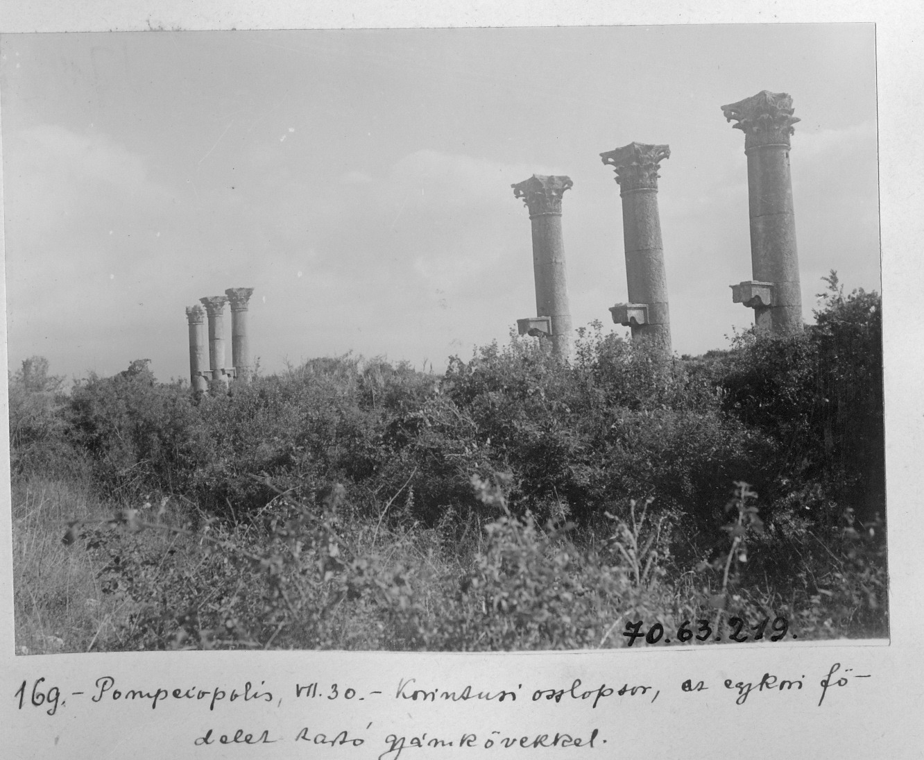 Soli Pompeipolis Antik Kenti Korint Başlı Sütunların Görünümü, Mezitli - Mersin / 1914