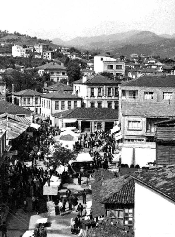 Fatsa, Ordu
