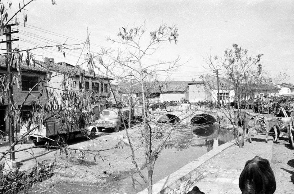 Uşak