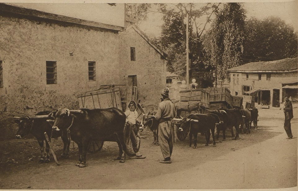 1. Dünya Savaşı Döneminde Trabzon’dan Erzurum’a Cephane Taşıyan Konvoy