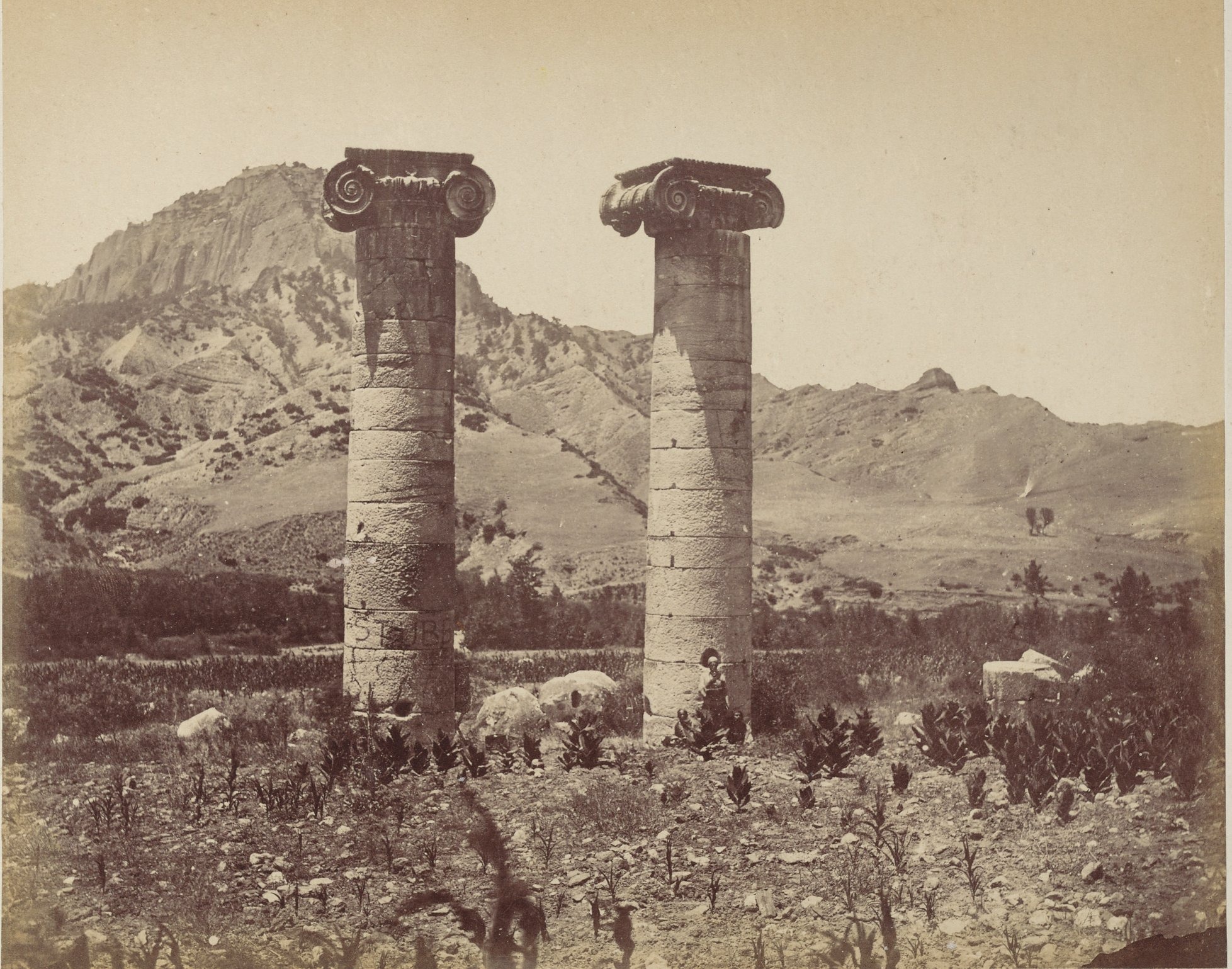 Sardis Artemis Tapınağı, Salihli / 1875