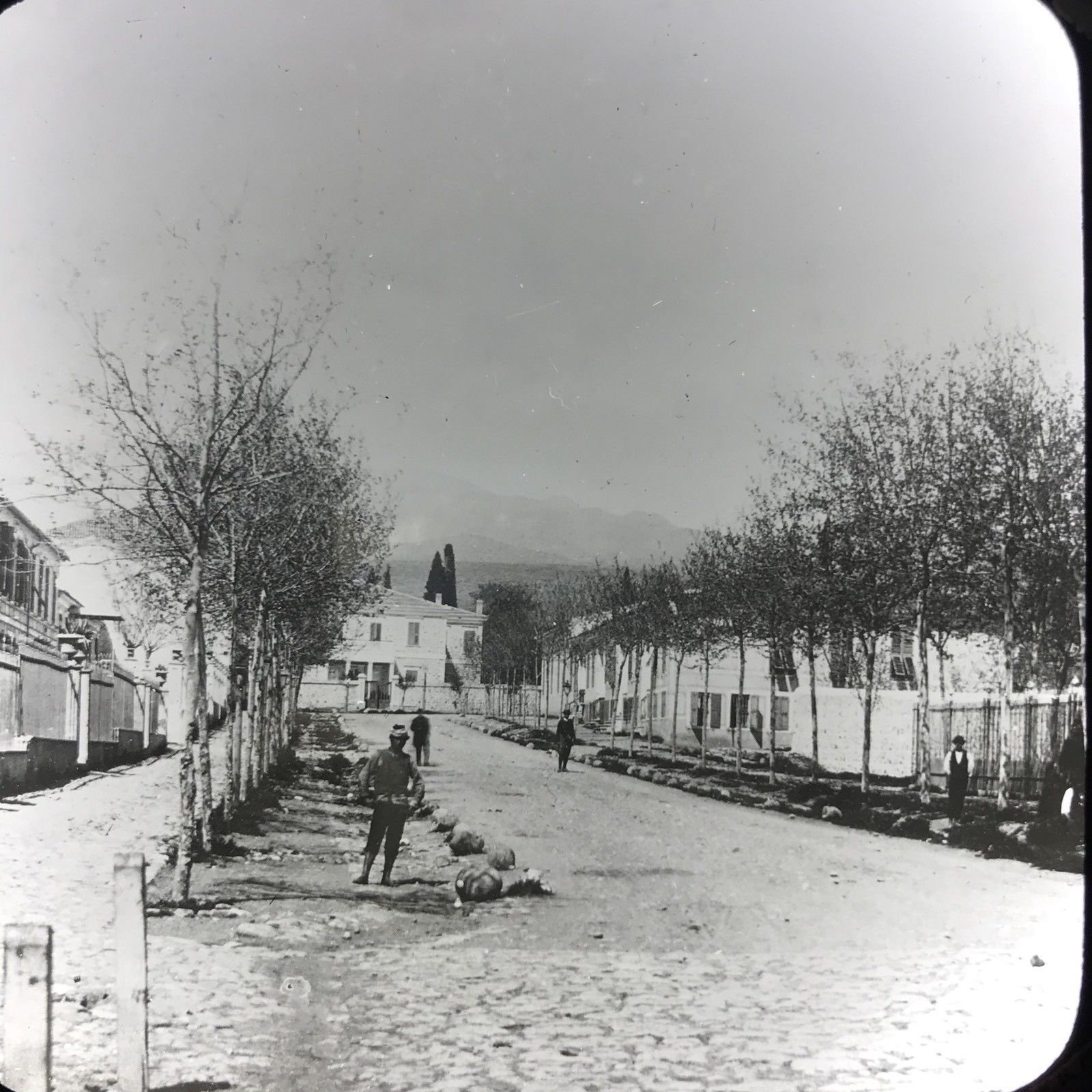 Bornova / İzmir