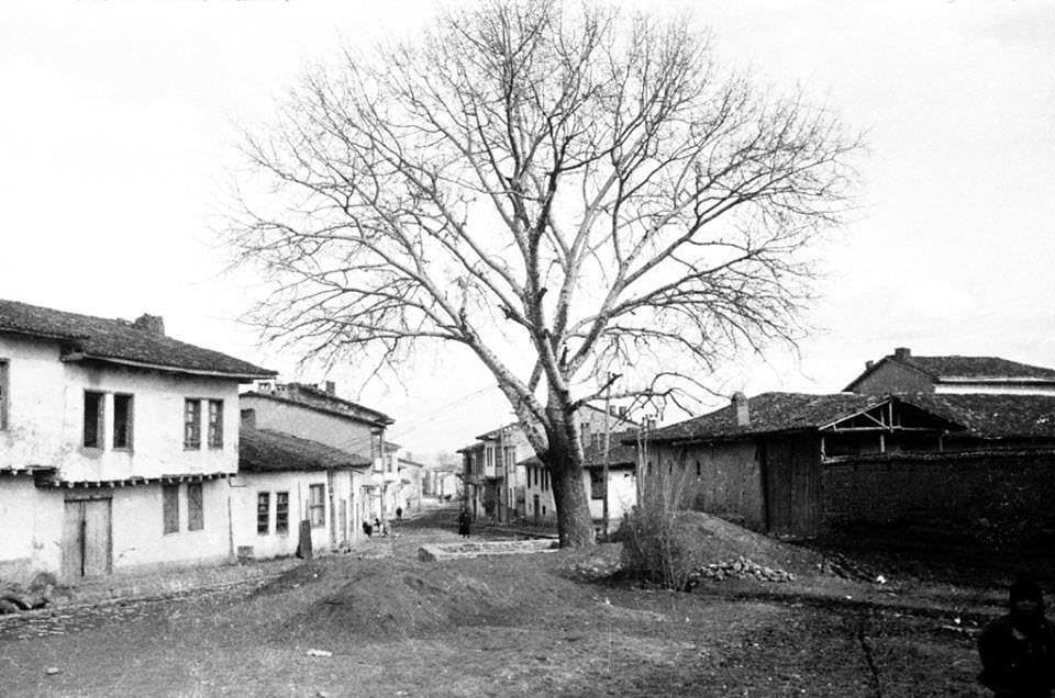 Uşak