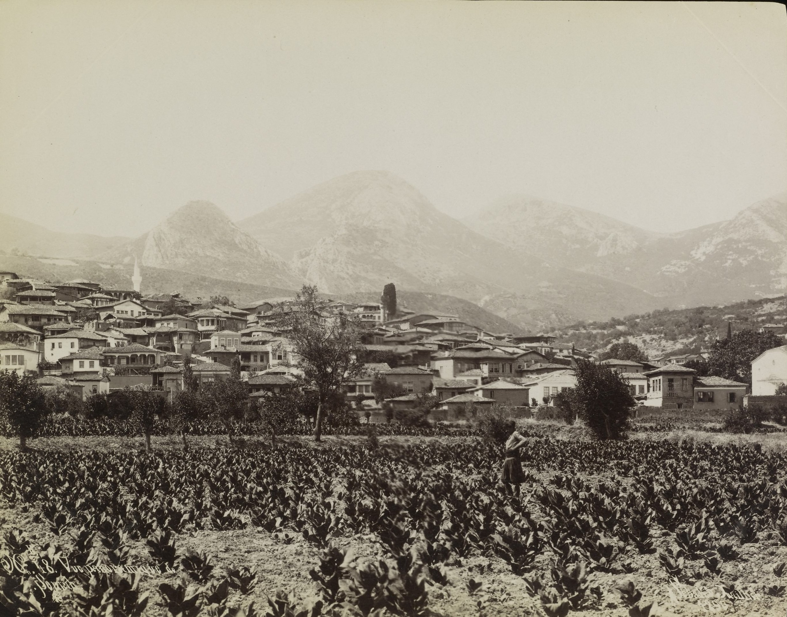 4199 - Soma / Sébah ve Joaillier Fotoğrafı