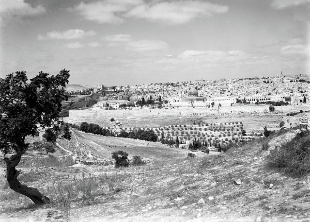 Kudüs Şehri Görünümü / 1940