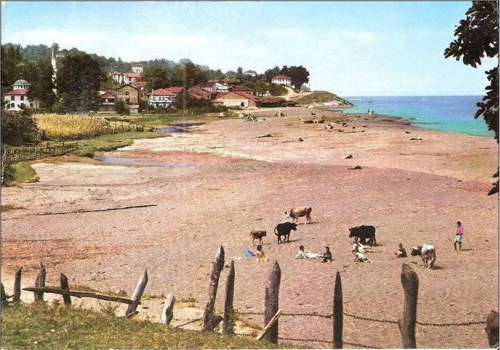 Akçakoca / 1970
