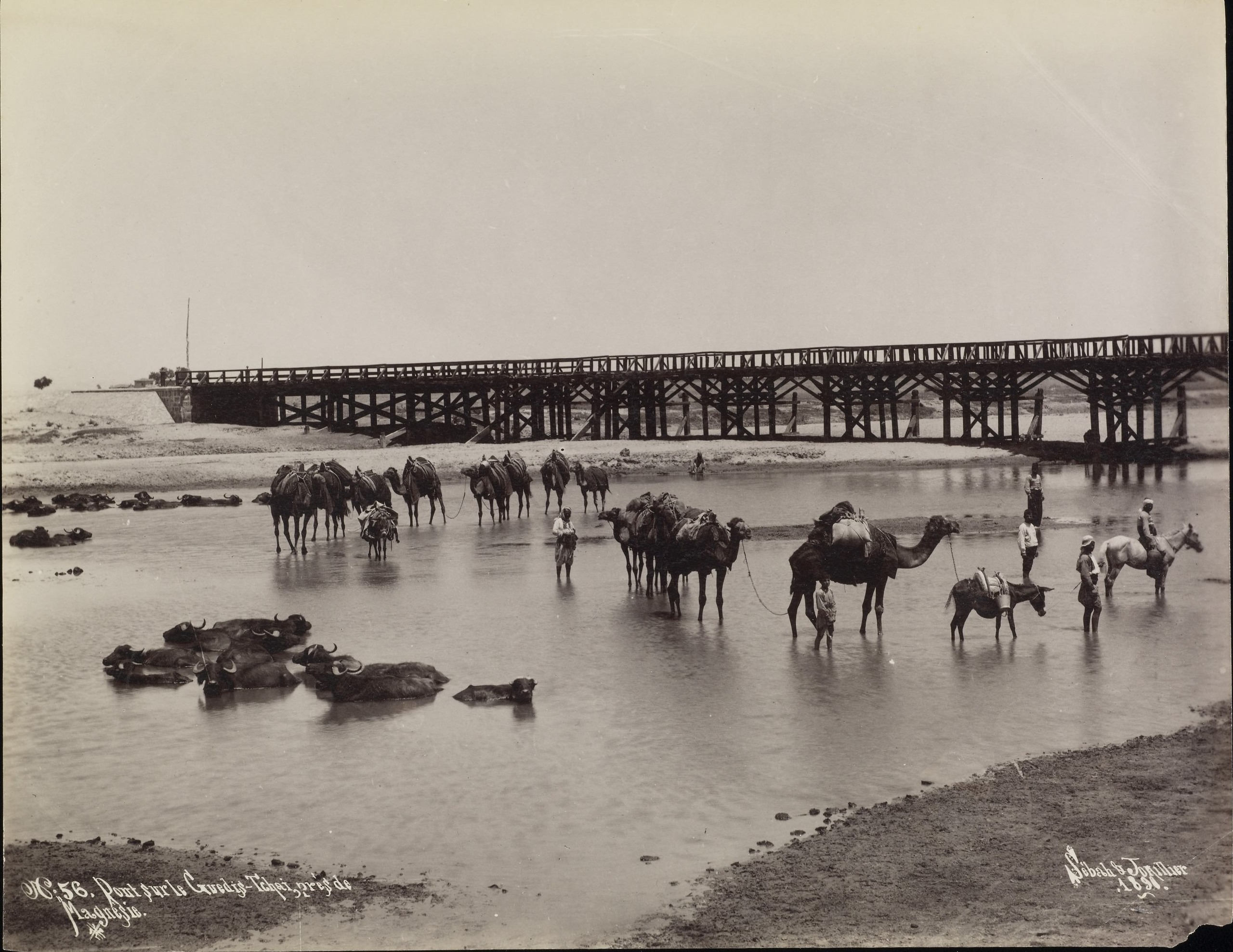 Gediz Nehri - Manisa Yakınları / Sébah ve Joaillier Fotoğrafı / 1890'lar