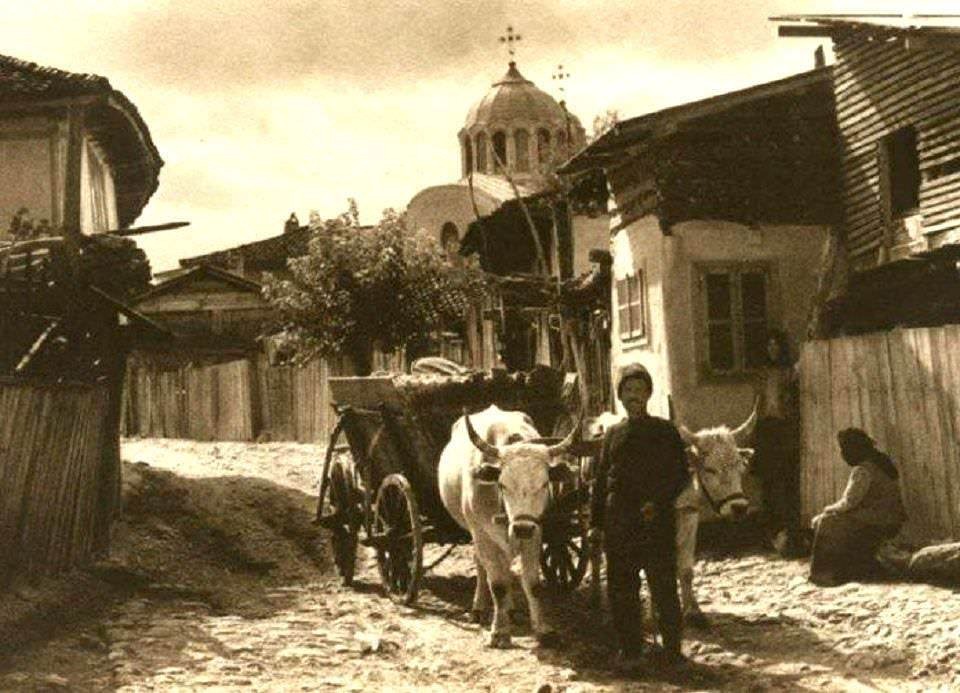 Dobruca