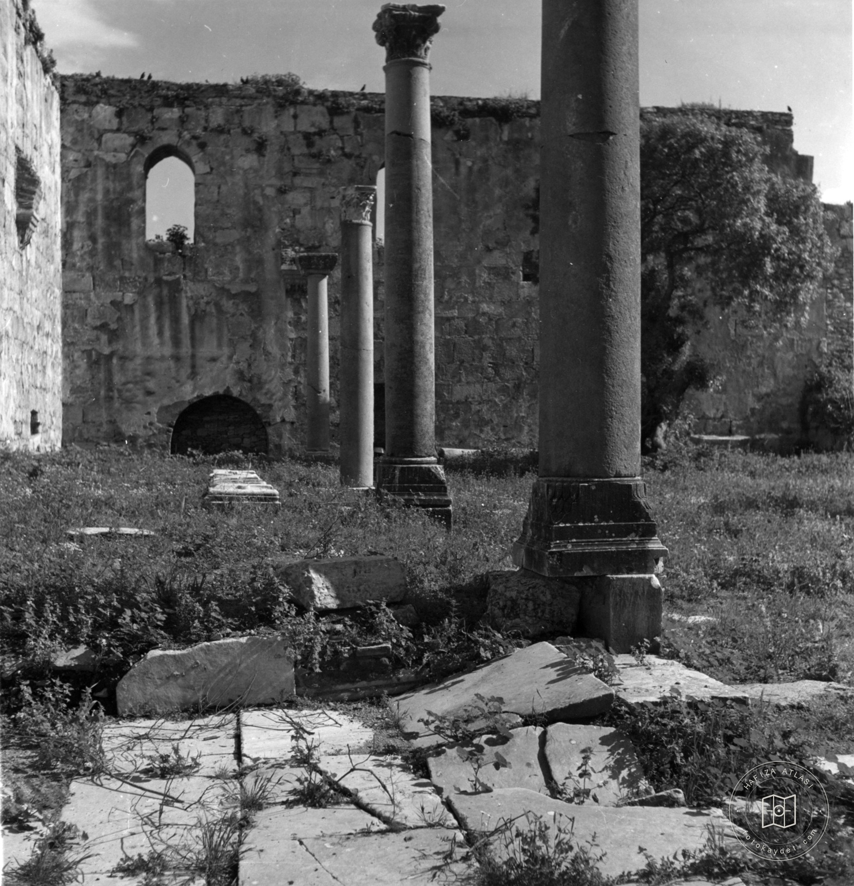 Jesus Bey Mosque Columns on the palm