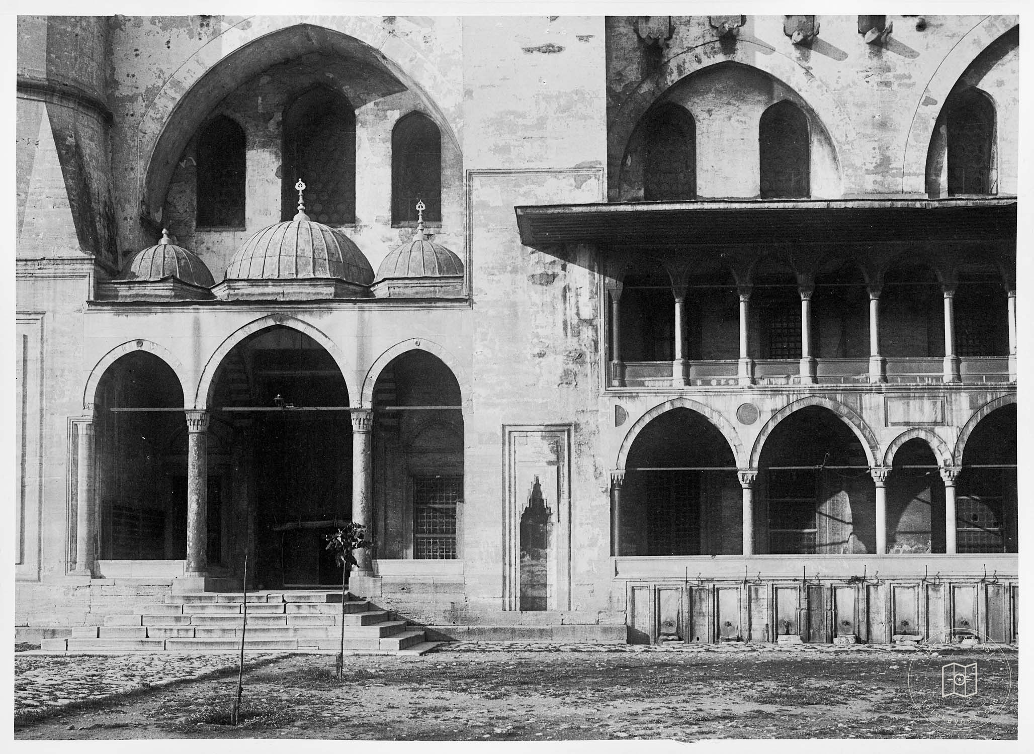 Süleymaniye Ash