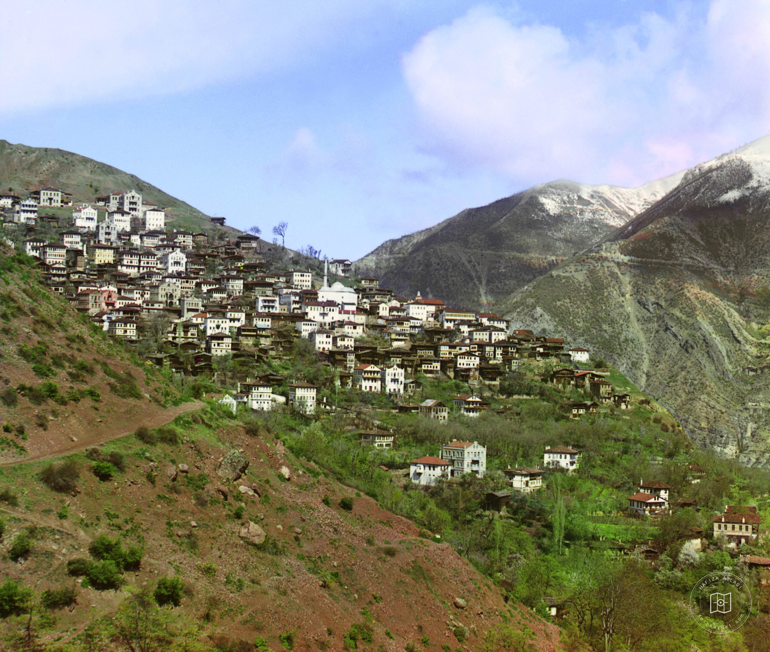 Artvin