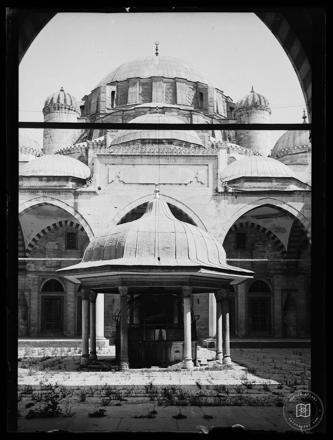 Süleymaniye Ash