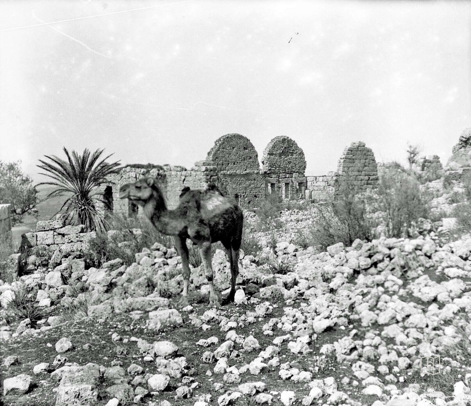 Sillyon Roma Hamamı