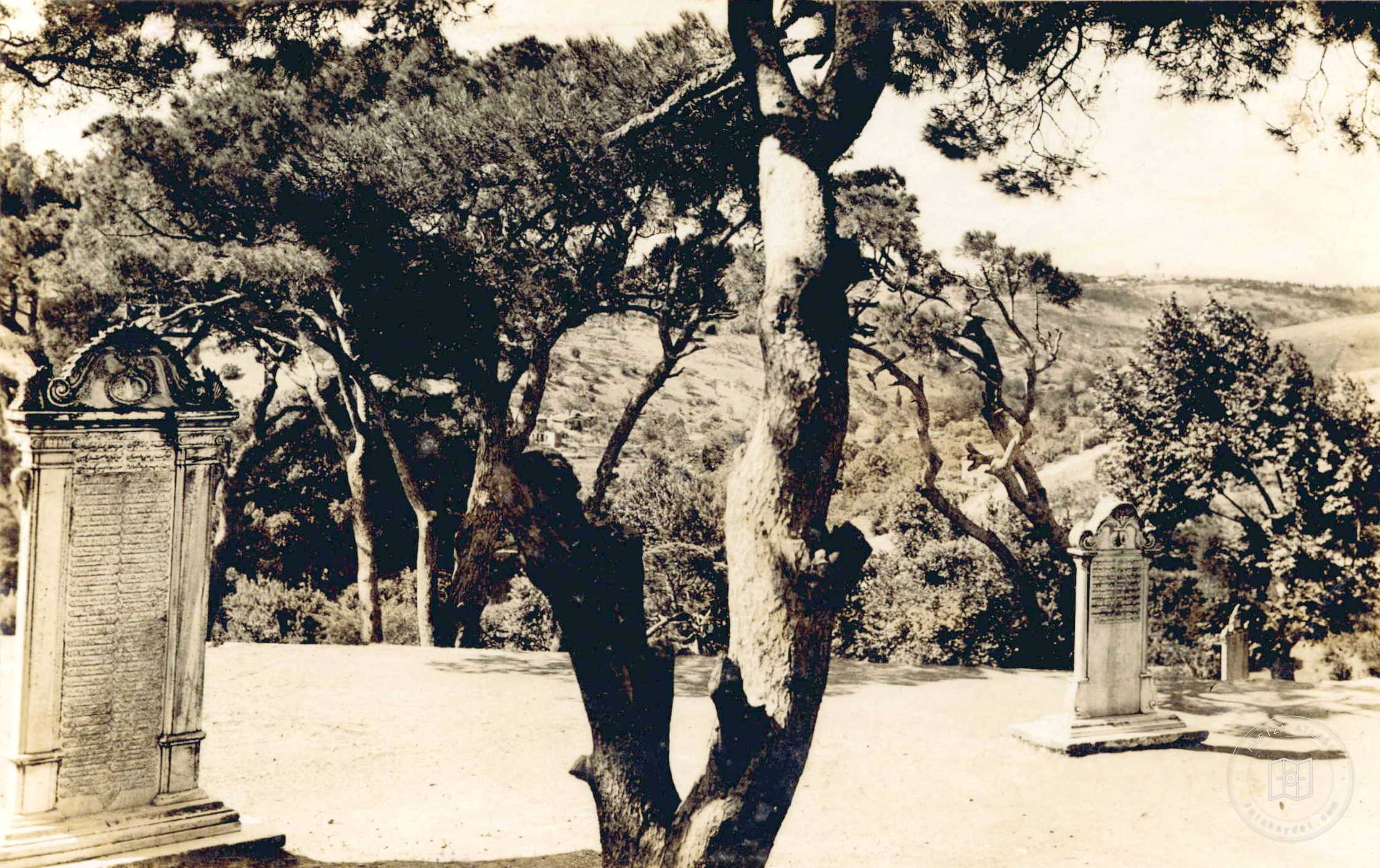Yıldız Shooter Stones
