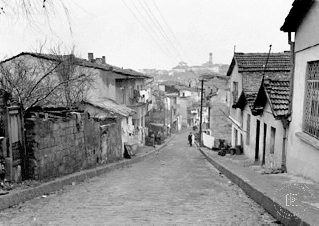 Zeytinbunu Seyitnizam Mahallesi