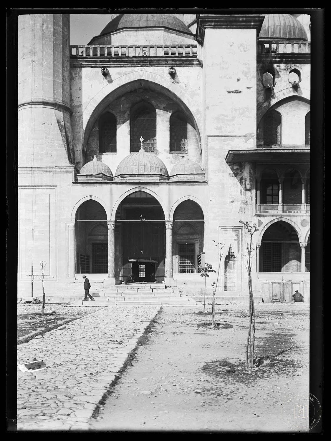 Süleymaniye Ash