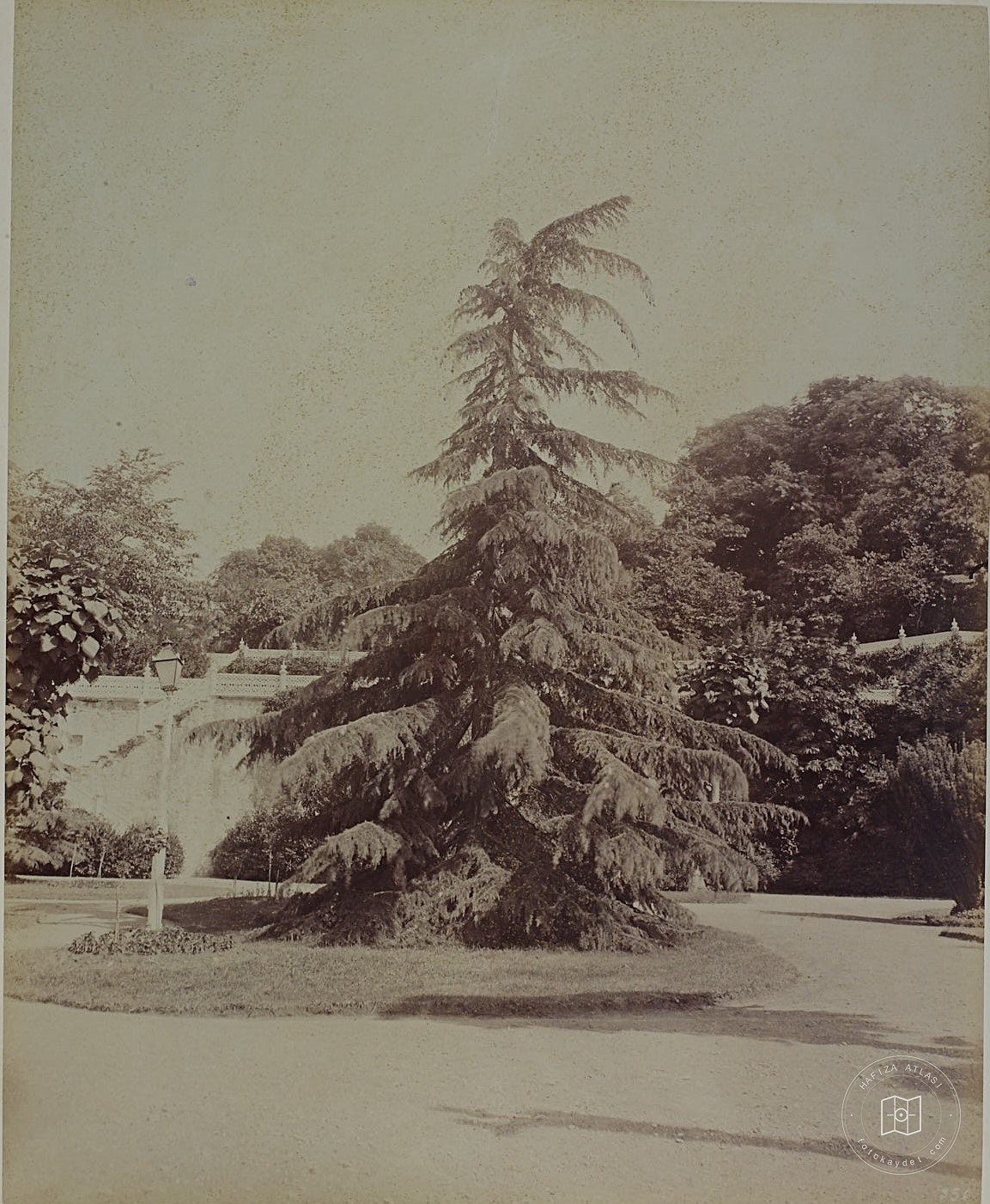 Beylerbeyi Palace Garden