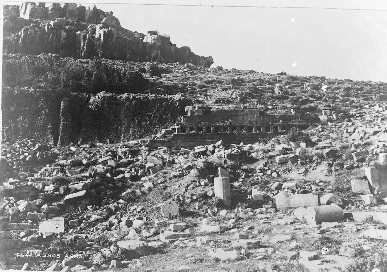 Assos Agora
