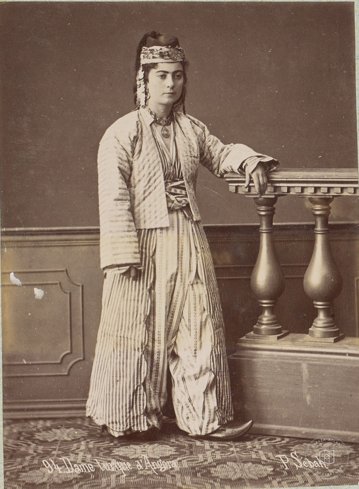 Female Portrait