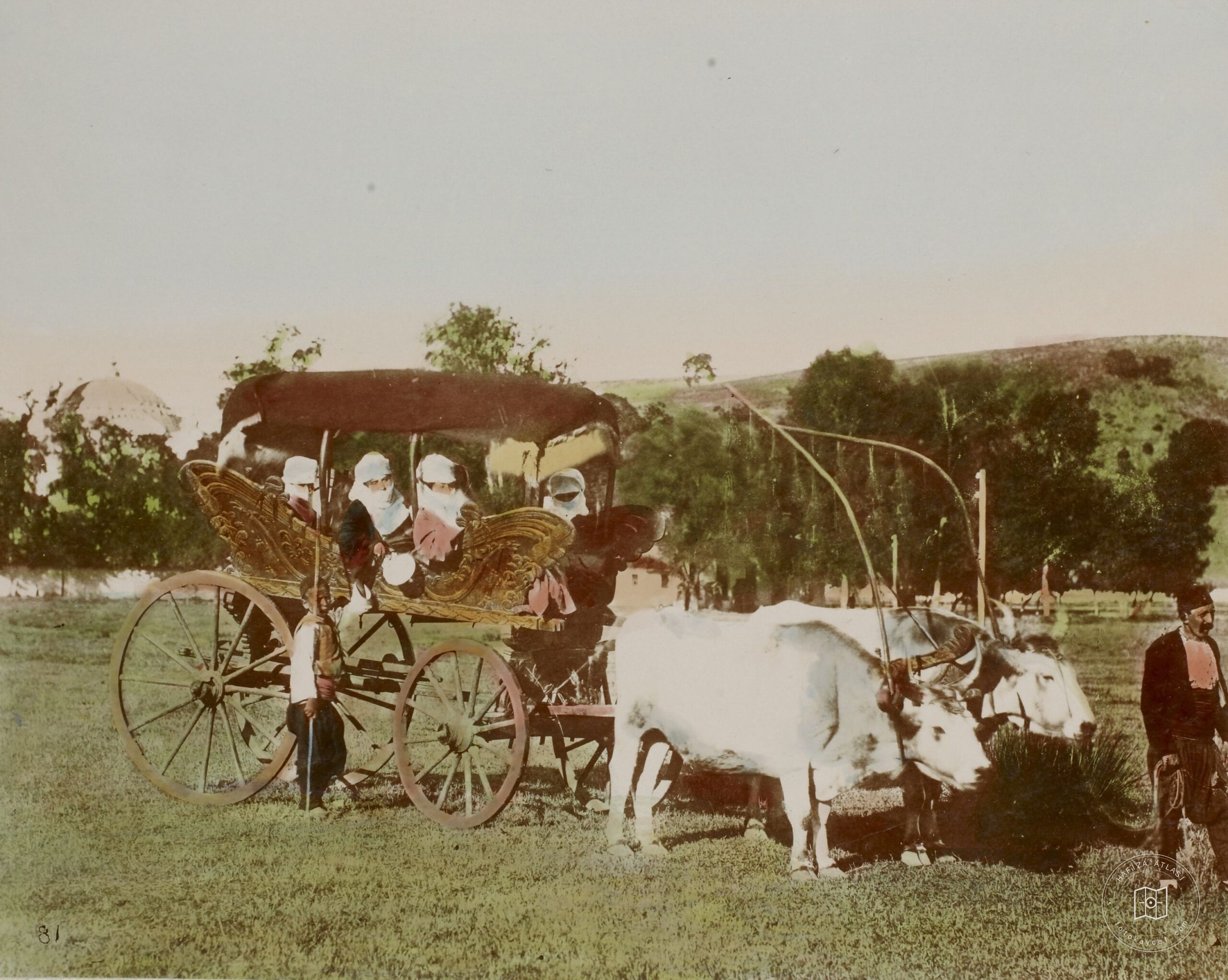 Women in Öküz Car