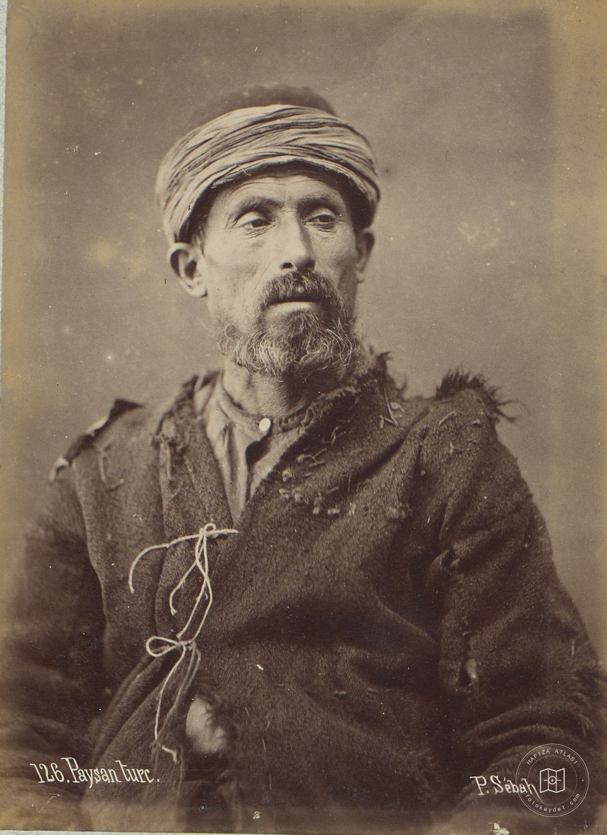Male Portrait