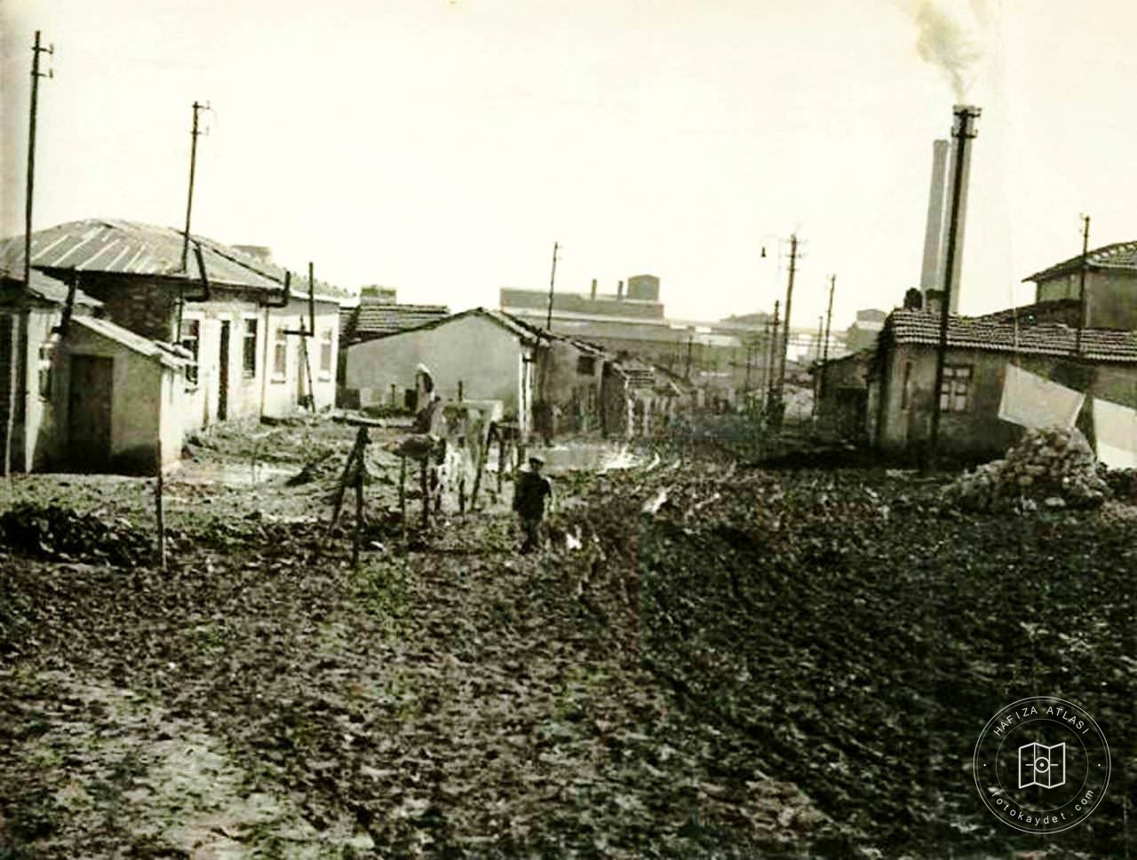 Zeytinburnu