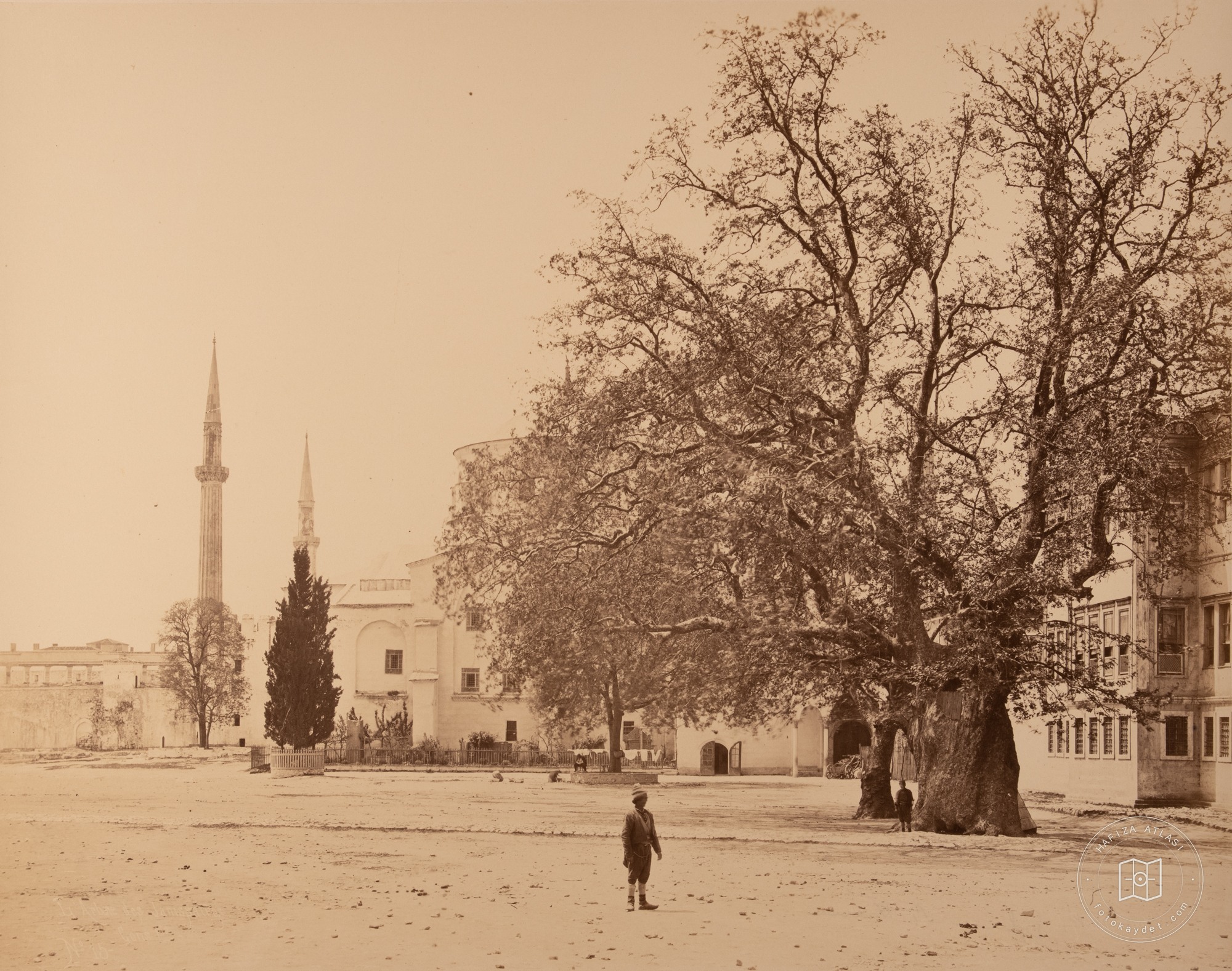 Topkapı Sarayı Hünful Kiosk and Yeniceri Tree
