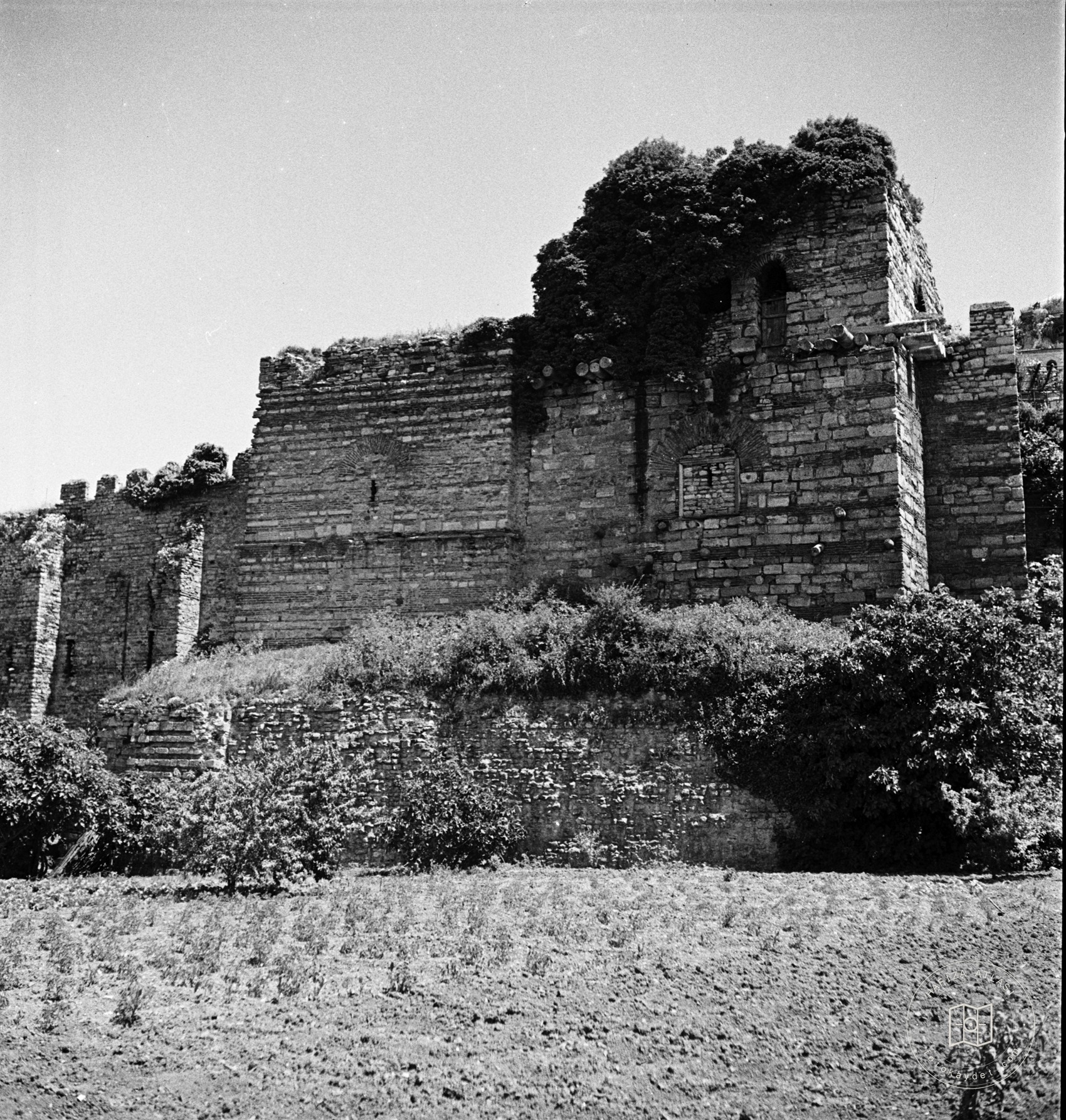 Christine Angelos Tower