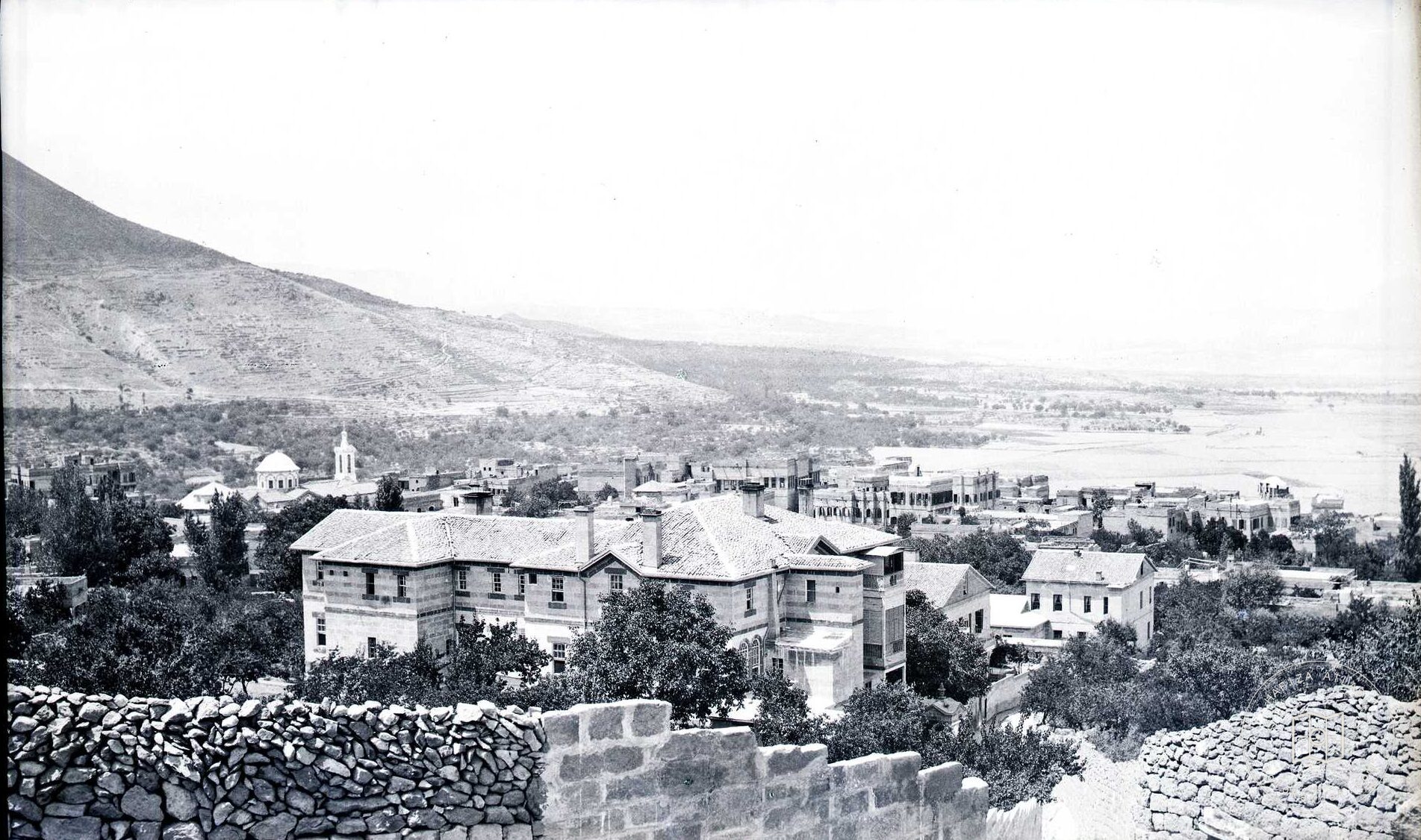 Talas