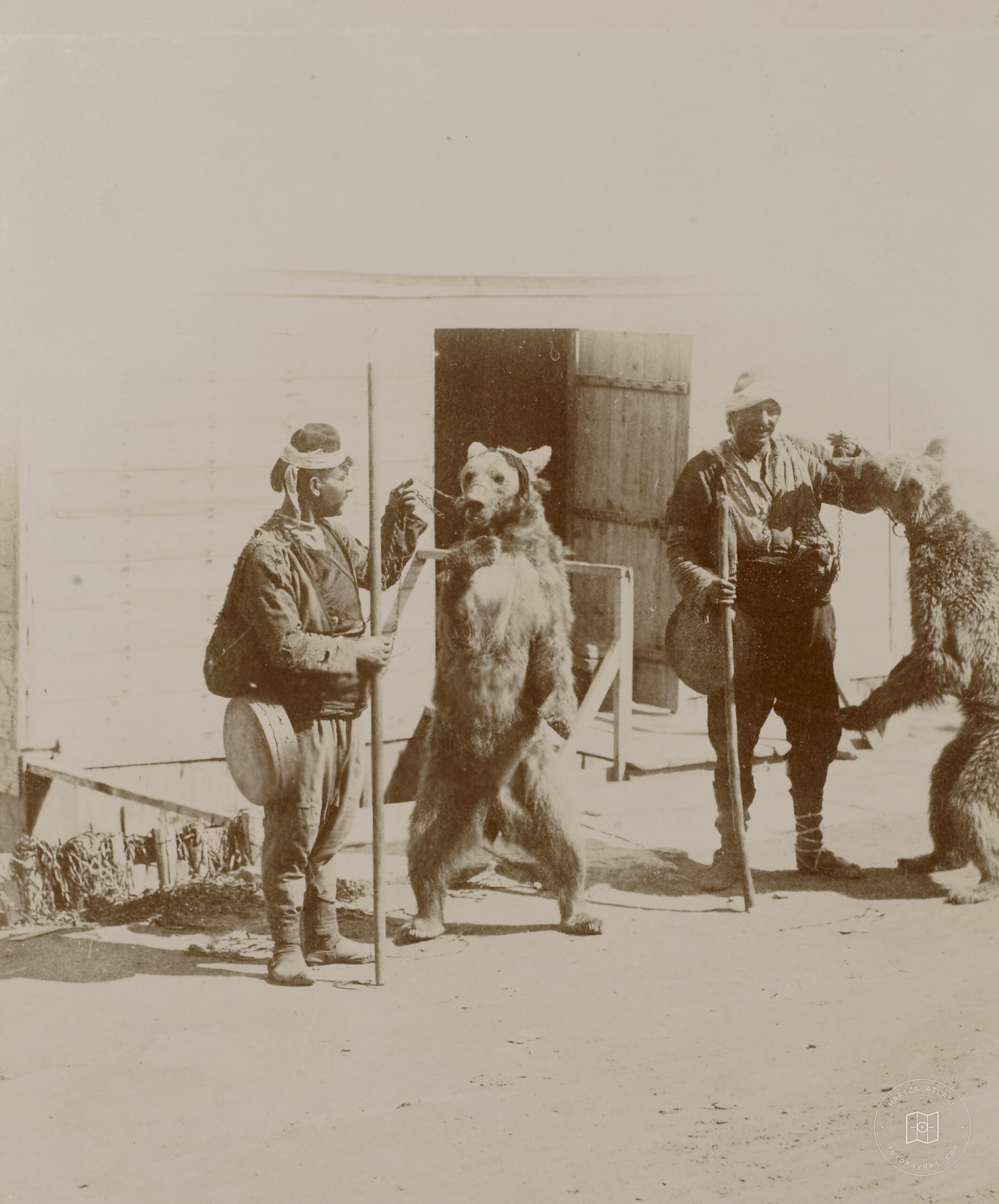 Bear Players