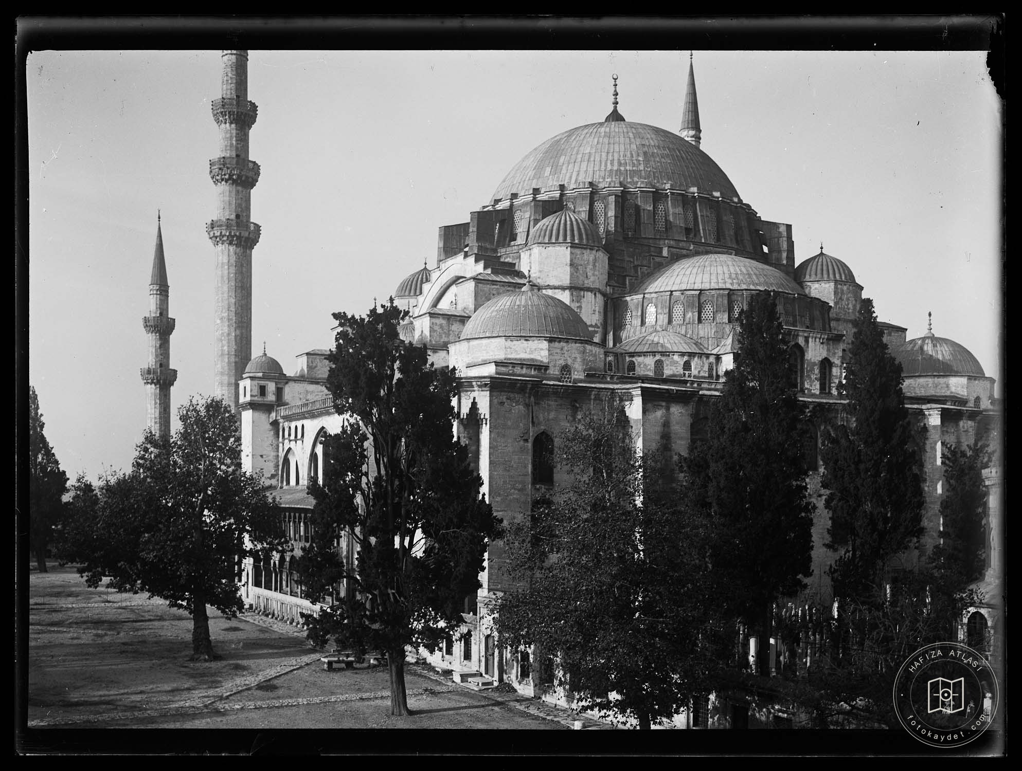Süleymaniye Ash