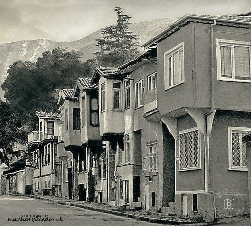 Synonyms Avenue / Five Homes