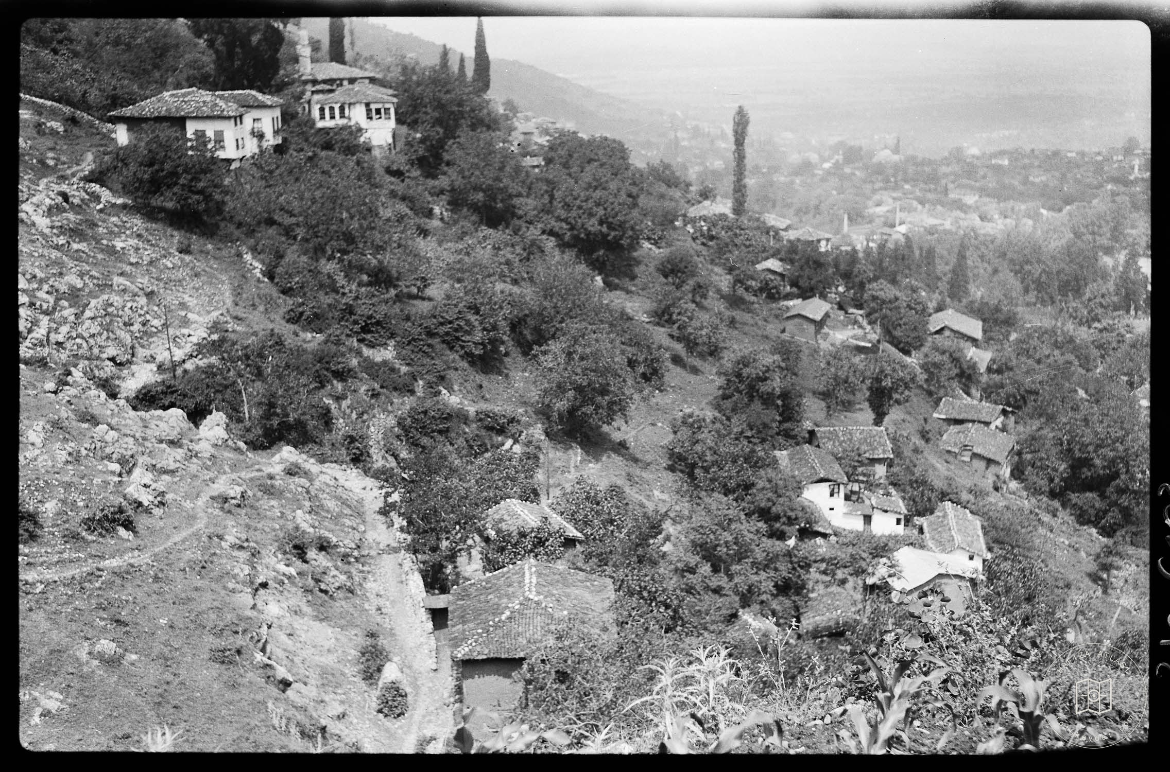 Bursa Görünümü