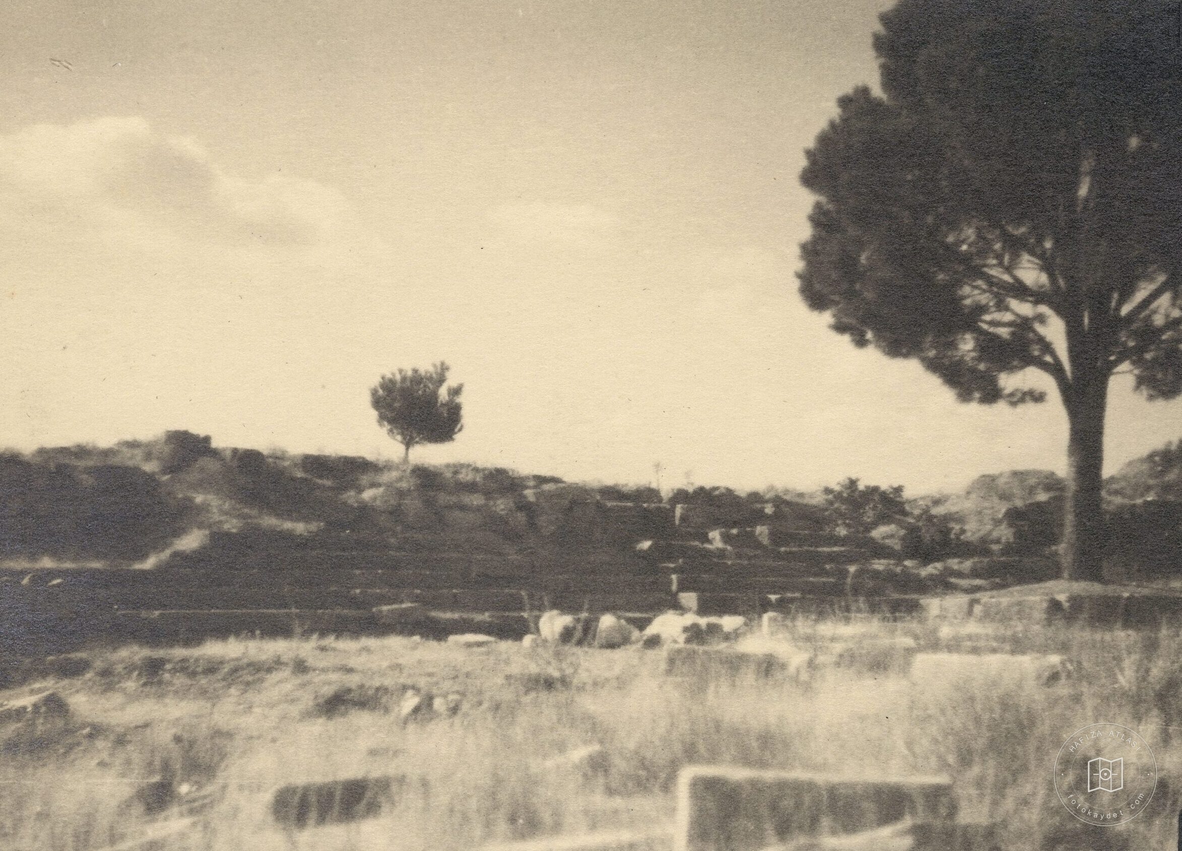 Pergamon Zeus Sunağı