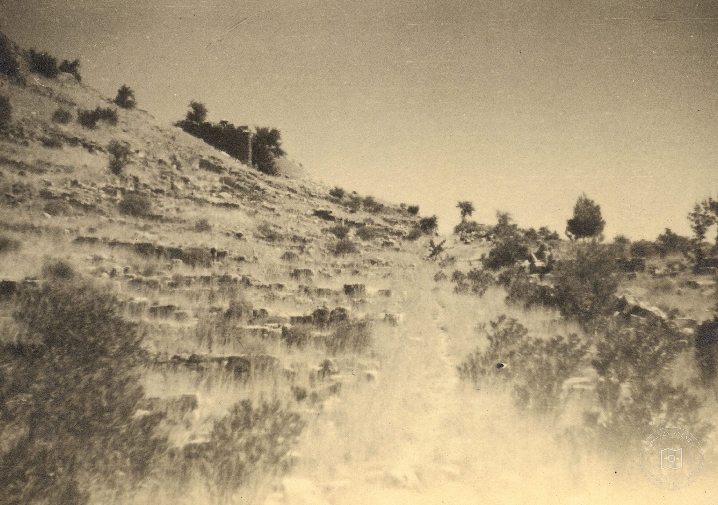 Priene Kuzey-Güney Aksındaki Bir Ana Cadde