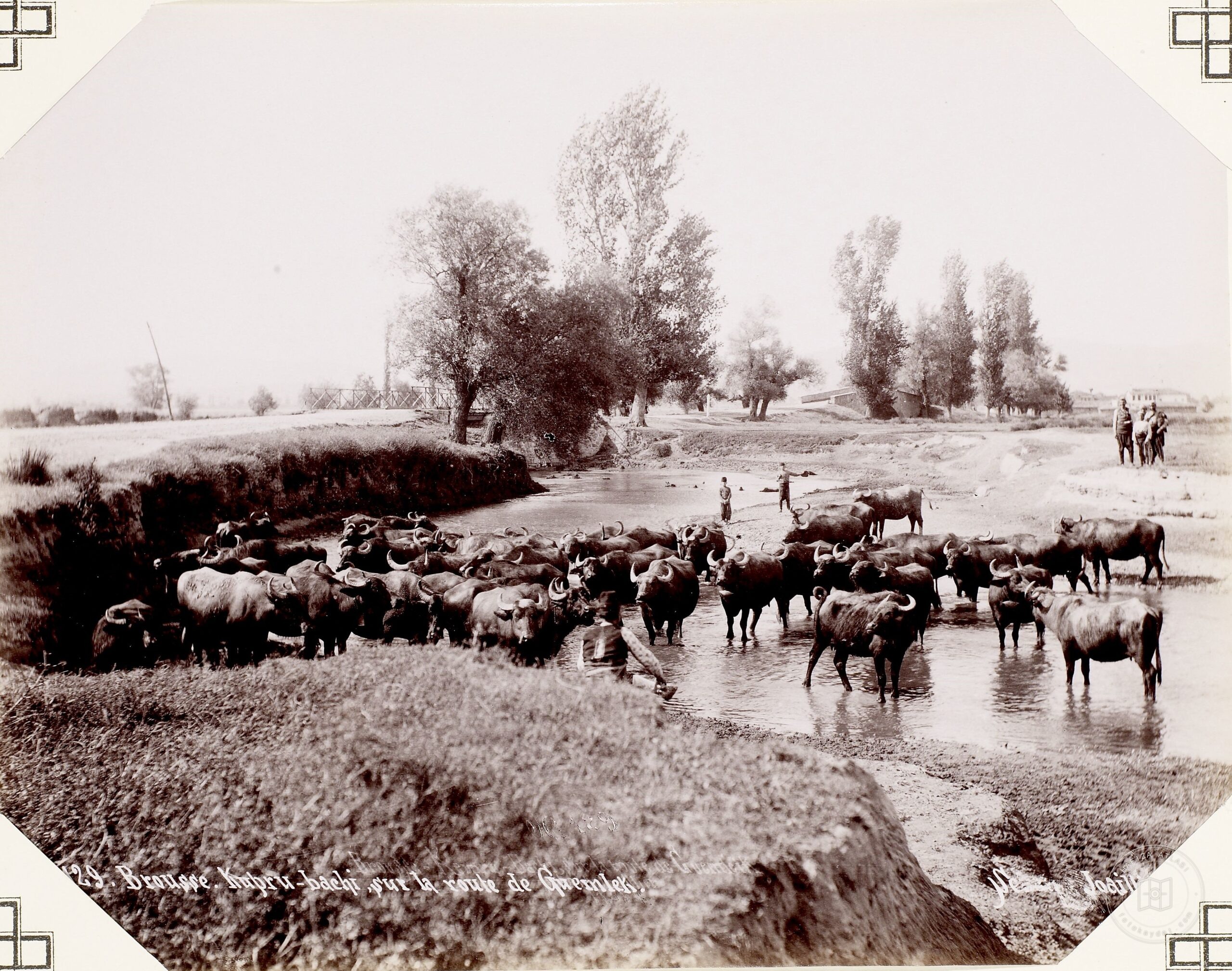 Gemlik Road On One Place Latches