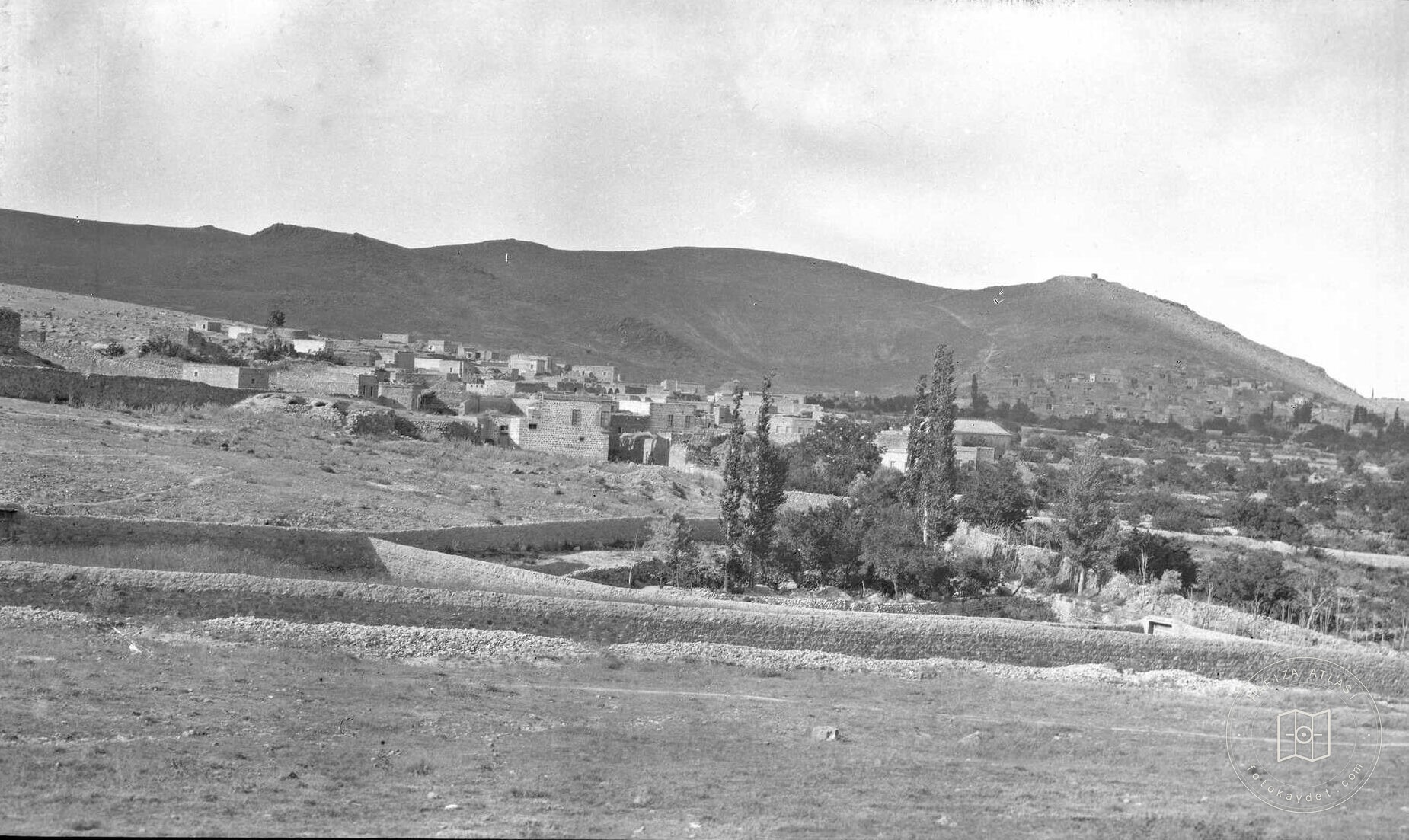 Fertek