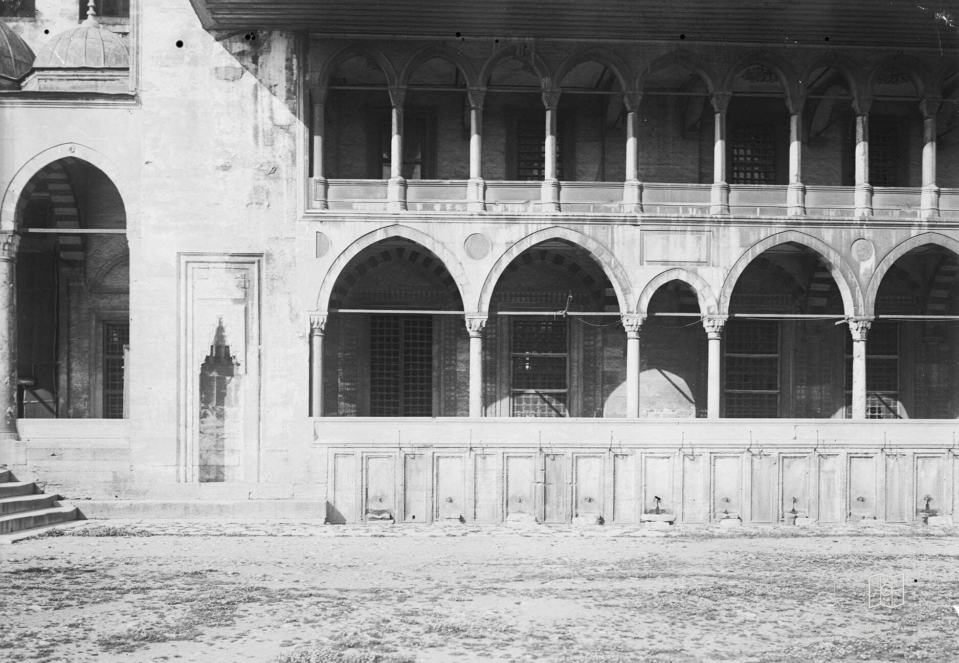 Süleymaniye Ash